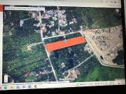 Industrial lot in Bunawan Davao City for sale