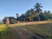 8.1 Hectares Farmland Along National Highway – Titled...