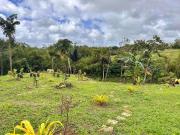 8,394 sqm Agricultural Farm For Sale in Cavinti Laguna,...