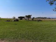 8.5 ha Land available in Wonderboom