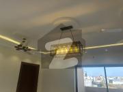 8.5 Marla Designer House Full Double Storey In...