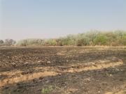 8.6 ha Land available in Tierpoort