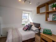 8 bedroom apartment to rent