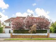 8 Bedroom Detached House