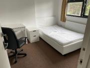 8 bedroom flat to rent