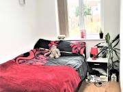 8 bedroom house to rent