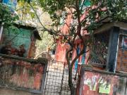 8 BHK Independent House in Ashok Nagar for resale South...