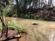 8 ha Land available in Tierpoort