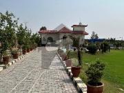 8 Kanal Farm House Available For Wedding Ceremony...