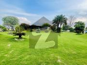 8 Kanal Farm House For Sale Bedian Road Lahore