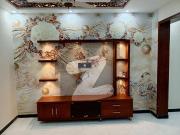 8 Marla Beautiful Ground Portion For Rent At Reasonable...