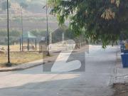 8 Marla Best Plot Sector N
