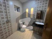 8 Marla Double Storey House For Rent Wapda Town