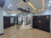 8 Marla elegant house available for rent