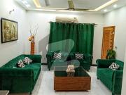 8 Marla Fully Furnished House Single Available For Rent