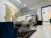 8 Marla Furnished Safari Home Available For Rent