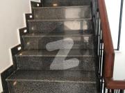 8 Marla House for Rent Luxury House DHA 9 Town
