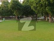 8 Marla Low Budget Plot For Sale