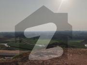 8 marla Ready Plot in Bogainvillea DHA 7