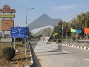 8 Marla Solid Land Plot For Sale In F Block