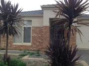 8 Melaleuca Street, Munno Para West, SA 5115