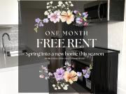 8 Newholm Road 1 Bedroom Apartment for Rent