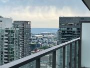 8 WIDMER ST SUITE 3911, Toronto