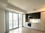 8 WIDMER ST SUITE 3911, Toronto