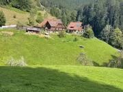 8 Zimmer 200 m² 840.000 € Kaufpreis Häuser in Oberwolfach.