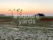 900 Sq.Yd. Plot in Jhusi Allahabad Listing ID #9229