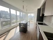 908 203 College Street 1 203 Theory Condos #1