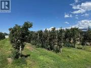 9105 Jones Flat Road, Summerland, BC, V0H 1Z6 farm for sale. 9105 Jones Flat Road, Summerland, BC, V0H 1Z6 farm for sale.