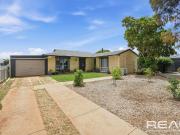 910mÂ² Corner Allotment with Exceptional Potential