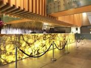 91 Liverpool St, Sydney NSW 2000 Apartment For Rent | Domain