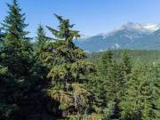 9202 PINETREE LANE Whistler BC V8E 0G5 For Sale