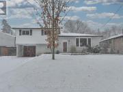 92 Lewis Drive, Newmarket, ON, L3Y 1R7 house for sale |...