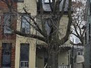 930 Dundas Street E, Toronto, ON, M4M 1R3 house for sale...