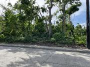 930 sqm Lot for Sale in North Town Homes at Mandaue...