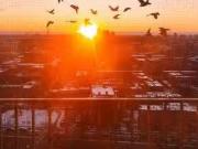 943 1055 Rue St Mathieu, Montréal Ville Marie, QC, H3H 2S3.