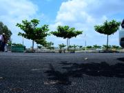 943 Sq.Ft. Plot in Whitefield Bangalore Listing ID #8763