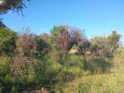 947 m² Land available in Pebble Rock