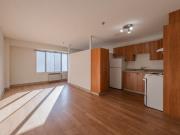 955 René Lévesque Est 1 Bedroom Apartment for Rent at...