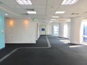 959sqm Office Space for Rent in Sen. Gil Puyat Avenue,...