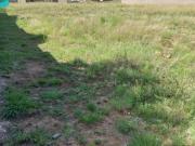 960 m² Land available in Wild Olive Estate