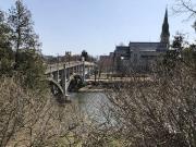 96 Arthur Street North B Guelph ON N1E 4V2 1 Bedroom...