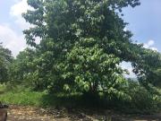 971 sqm Eastland Heights Vacant Lot for Sale Antipolo Rizal