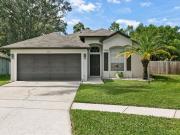 9733 Long Meadow Dr, Tampa, FL 33615