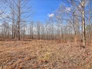 98 Saddleback Dr, Dover, TN 37058