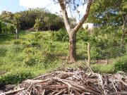 998 m² Land available in Cintsa