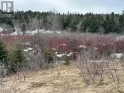 9 21 Cottors Street, Carbonear, NL, A1Y 1A7 vacant land for.